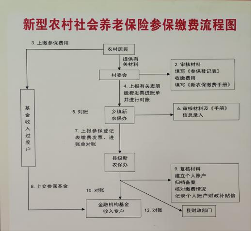 河源农村医保和社保有什么区别(农村医保跟社保的区别)